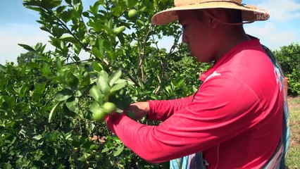 Where America imports $100+ billion of food from a year