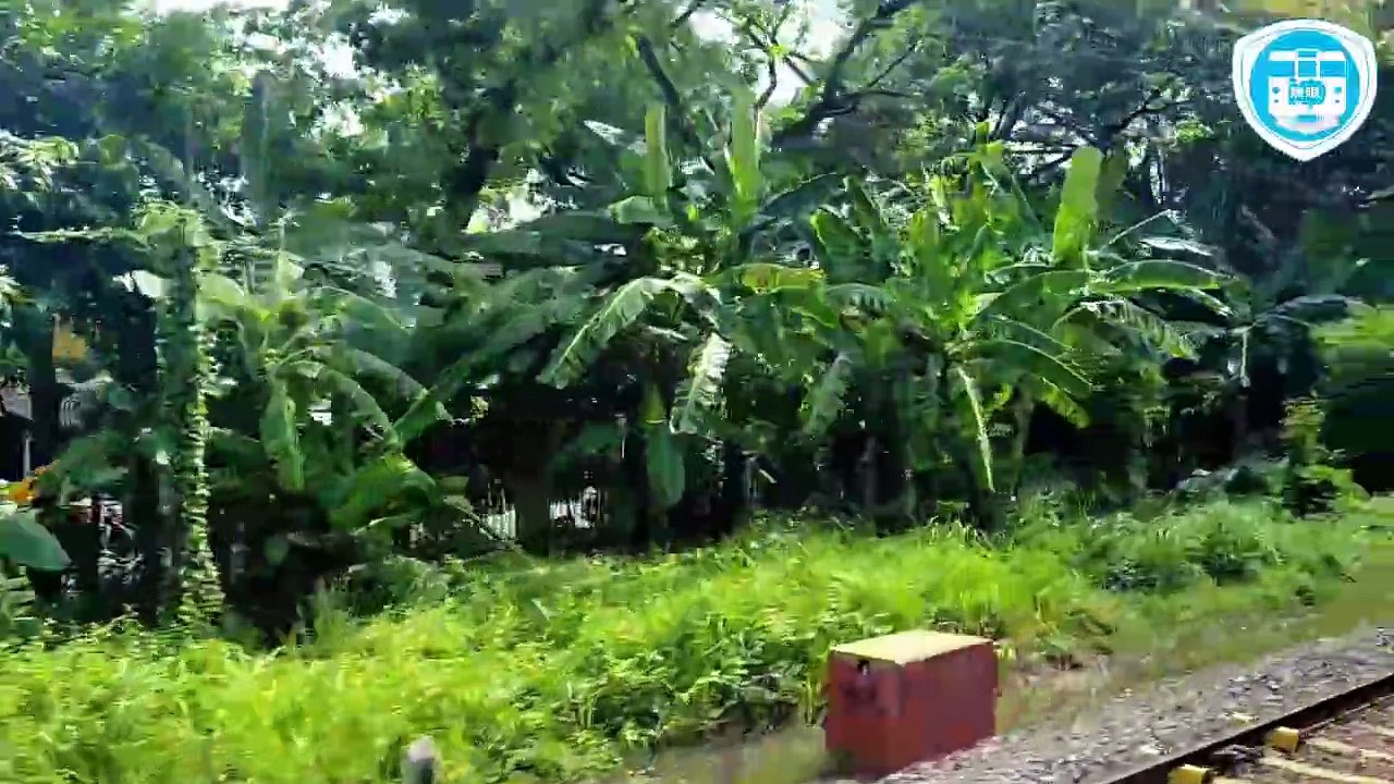 Kereta Ranggajati Ekonomi (Solo Jogja Bebas Drama 2)