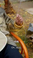 Destined Flavors Of Love Full Episode