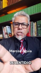 Depoimentos 2 - Sobre o Programa Novo Nìvel - Você 2.0