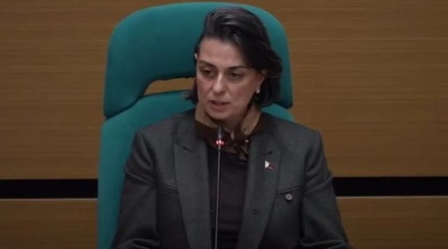 Sinem Dedetaş'ın AKP'li üyeye verdiği yanıt gündem oldu