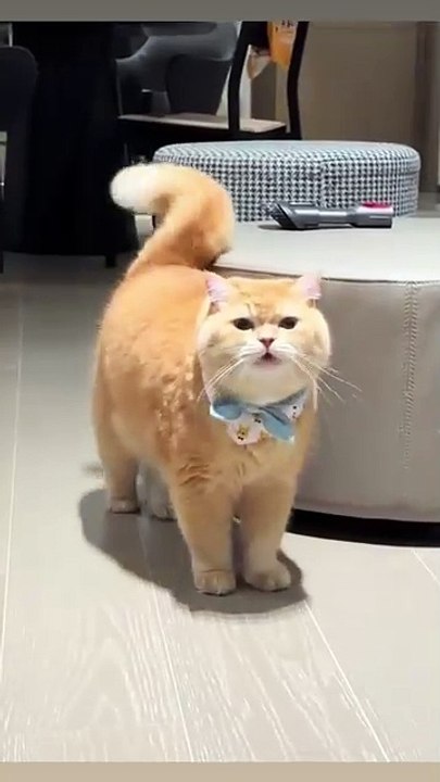 nói j 😃🥲