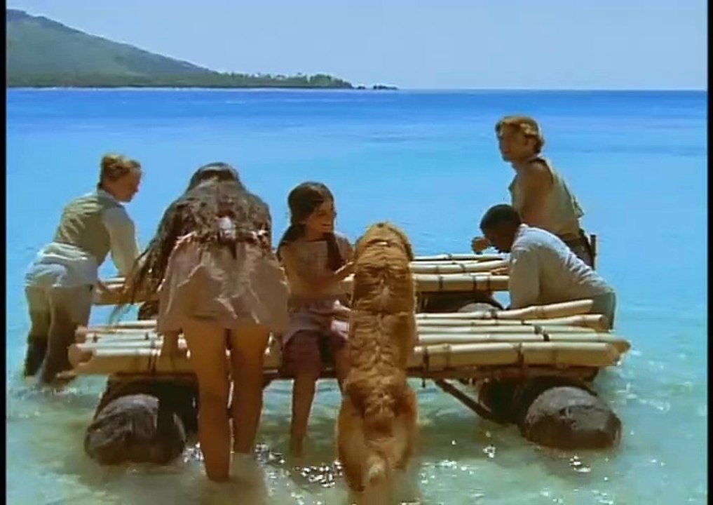 Die Robinsons  E08 - Gefangen