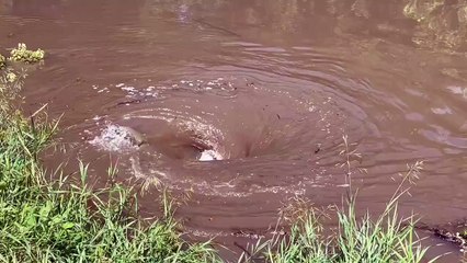 Dangerous Whirlpool in River! 😱😱😱 #shrijolifestyle #whirlpool #whirlpools