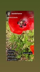 Story de Lio partagée sur son compte Instagram vendredi 7 mars.

COADIC GUIREC / BESTIMAGE