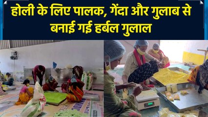 Holi के लिए पालक, गेंदा, गुलाब से बनाई गई Herbal गुलाल