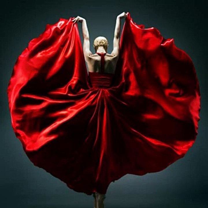 « Flamenco » by Littlegreenman