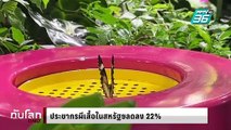 ประชากรผีเสื้อในสหรัฐฯ ลด 22 เปอร์เซ็นต์ | ทันโลก DAILY | 7 มี.ค. 68