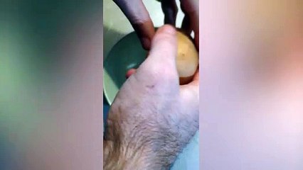 Family stunned as chicken lays massive egg three times normal size