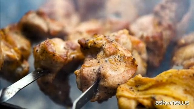 Alimentazione, i vantaggi delle proteine animali per salute metabolica