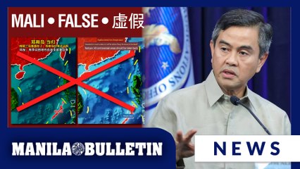 Claims on Palawan part of China's cognitive warfare—maritime council exec
