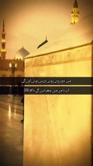 Rooza e Rasool | Ya Rasool Allah Thak Gay Houn #reels #shorts #viralvideo #foryou #trending #youtube