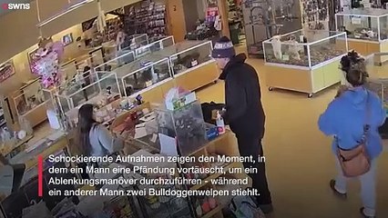 Mann täuscht Krampfanfall vor, um Welpen aus Zoohandlung zu stehlen