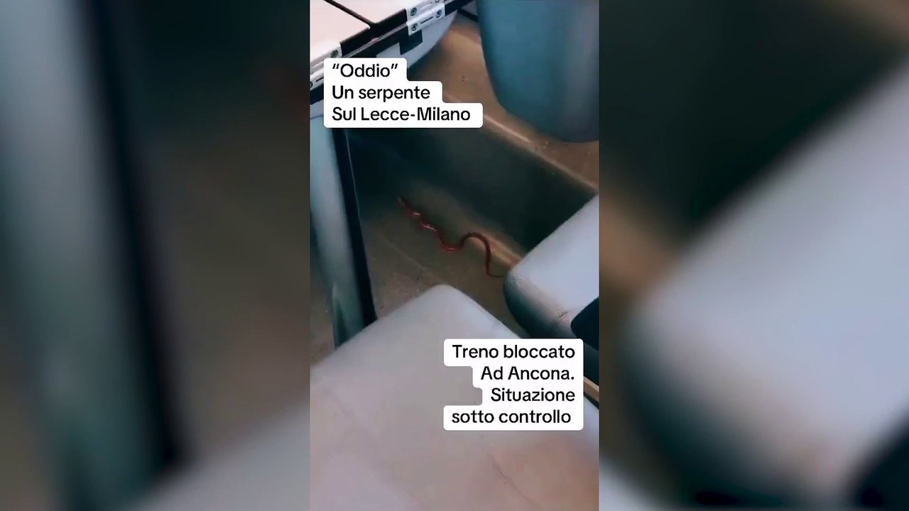 Serpente sul Frecciarossa: panico tra i passeggeri, treno evacuato