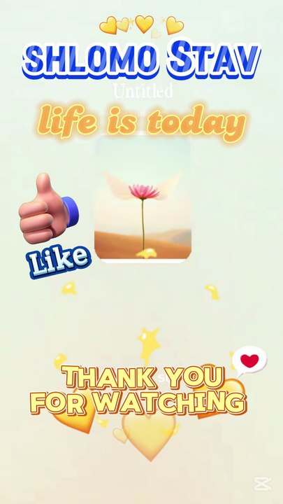 life is today-stav.sh