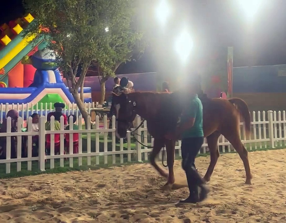 Horse Ride