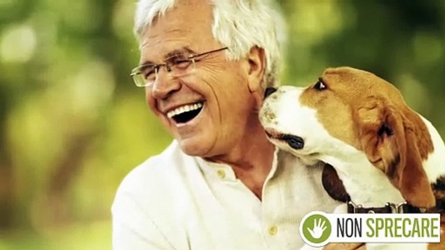 Benefici per la salute degli animali domestici