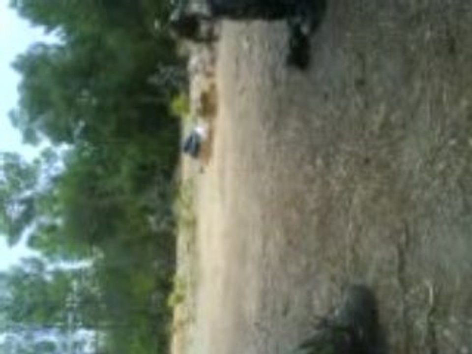 Tube arriere avec blesser