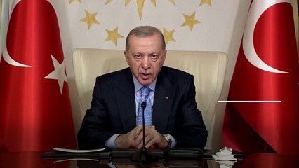 إردوغان يدعم فكرة هدنة "في الجو والبحر" في أوكرانيا