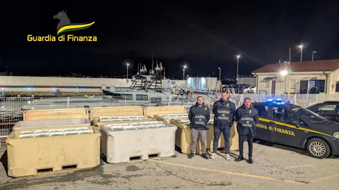 "Bianchetti" vietati e pericolosi per la salute: maxi sequestro dei finanzieri (07.03.25)