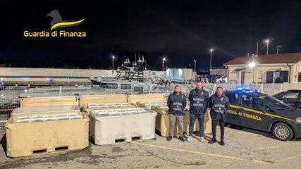 "Bianchetti" vietati e pericolosi per la salute: maxi sequestro dei finanzieri (07.03.25)