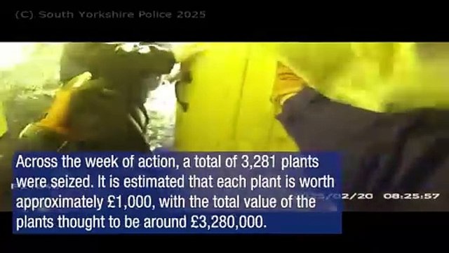 Video: Drugs worth over £3 million seized in South Yorkshire as part of national organised crime clampdown