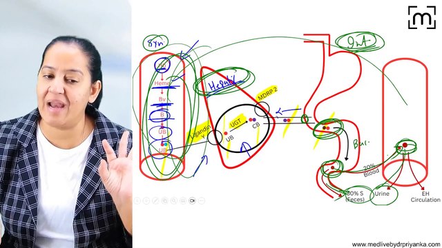 2. Neonatal Jaundice - Congenital Hyperbilirubinemia