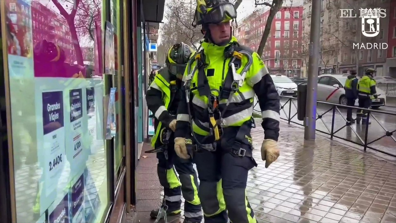 Rescate de cría de pavo real en una ventana en la calle del Doctor Esquerdo de Madrid