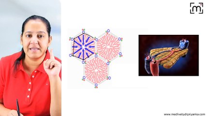 10. CVC Liver (Nutmeg Liver)