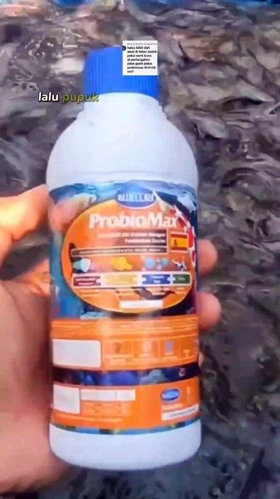 Kalau diawal menggunakan Em4, lalu dipertengahan ganti dengan Probiomax BISA atau TIDAK