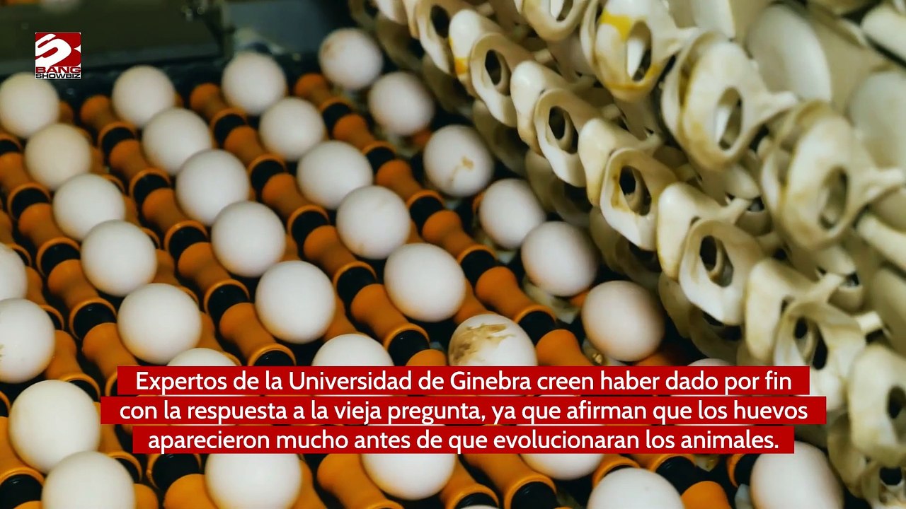 Los científicos resuelven el debate sobre el huevo y la gallina