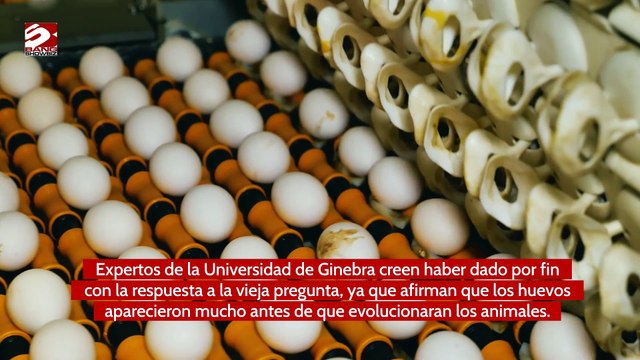 Los científicos resuelven el debate sobre el huevo y la gallina
