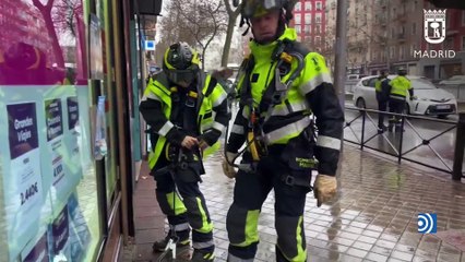 Bomberos rescatan a una cría de pavo real en la calle Doctor Esquerdo