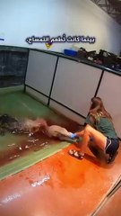 عندما يُمسك التمساح بفريسته.. هل هناك فرصة للنجاة؟ 😨 _shorts(360P)