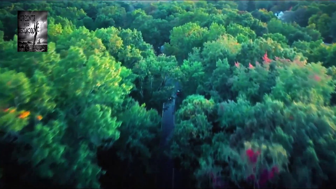 Paranormal: Buscadores de Fantasmas a Domicilio