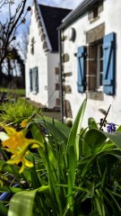 À VENDRE - Goulien (29770) Longère de 89 m2 5700 m2 de terrain