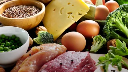 Which Foods Are High In Protein?