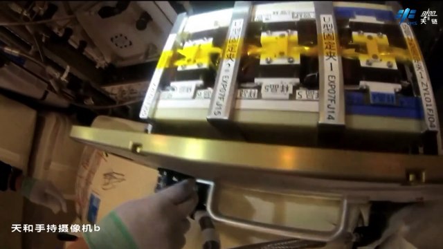 Fruit Flies In Space - Chinese Astronauts Show Experiment On Tiangong Station