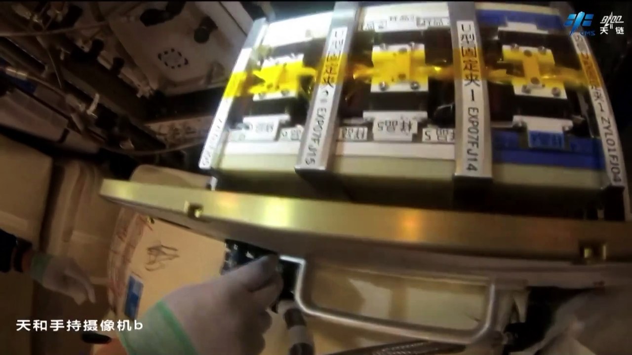 Fruit Flies In Space - Chinese Astronauts Show Experiment On Tiangong Station