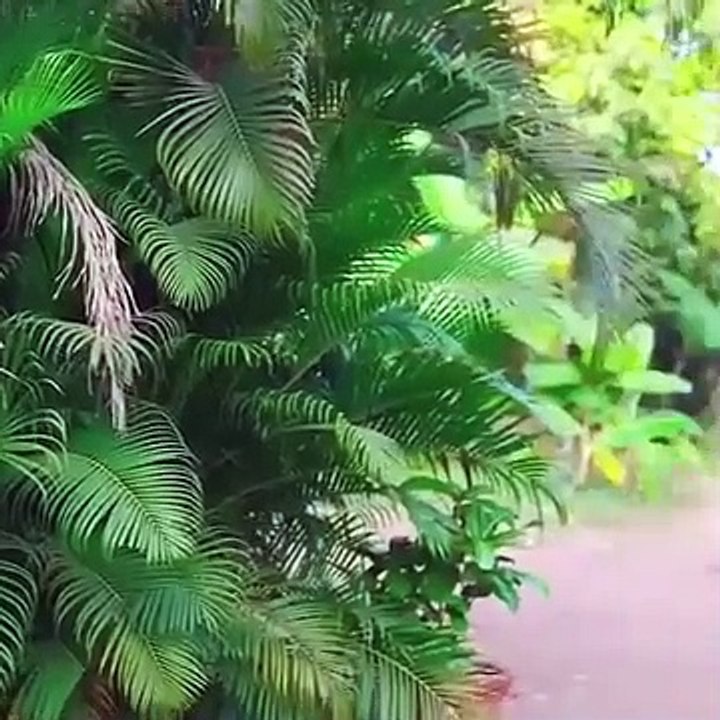 Larki NE khud Gand ki offers kr di