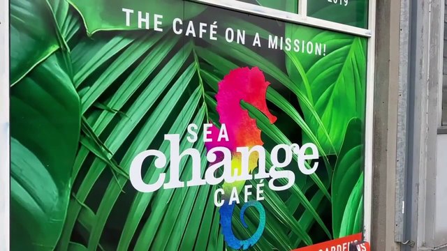 First look at the new Sea Change cafe, Sunderland Museum and Winter Gardens