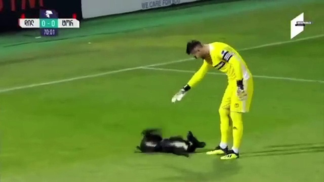 Dog interrupts soccer game, wants belly rubs