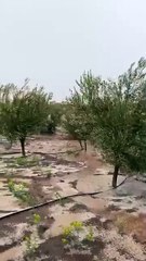 فيضانات تجتاح المغرب