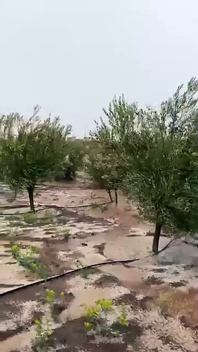 فيضانات تجتاح المغرب