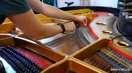 Fondazione Gilardi, un nuovo bando per i giovani e il lavoro