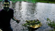 Floating vehicle-island, meta bioarchitecture, serpentine