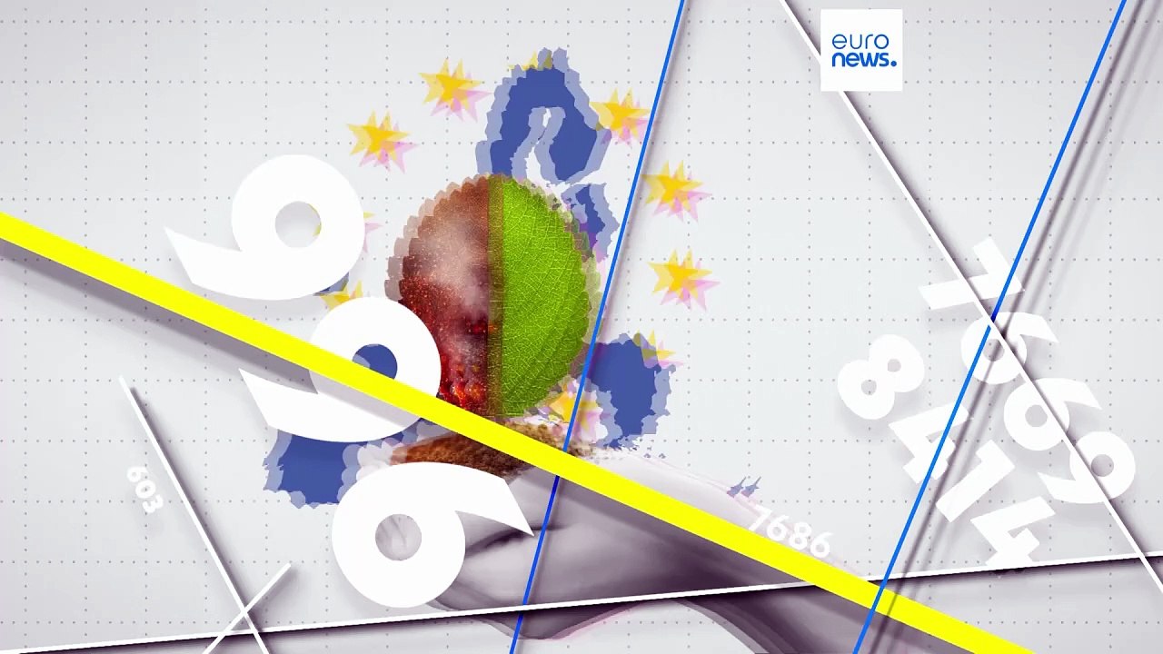 Klima steht nicht mehr an erster Stelle: Europäer wollen Sicherheit