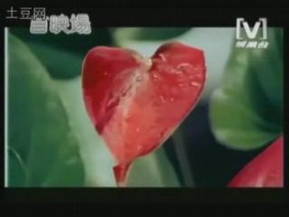 Fahrenheit Aaron Yan-TiAmo