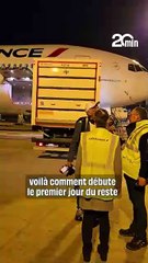 De la Loire à l'Afrique du Sud, l'incroyable voyage des lions Ysis et Yoda
