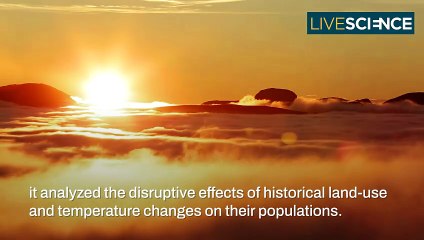 Which Animals Will Survive Climate Change